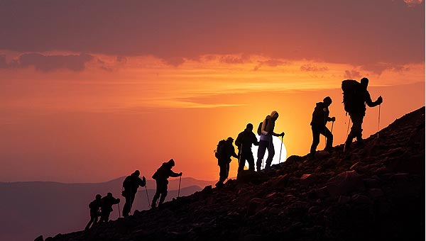 品牌理念 品牌理念